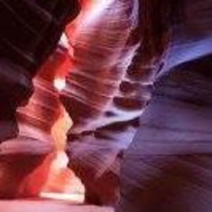 Meet your Posher, Larry